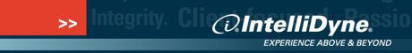 IntelliDyne