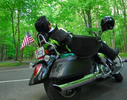 Bajinder Paul rests on his ___.